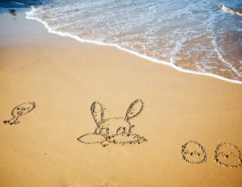 easter charleston coast easter charleston coast