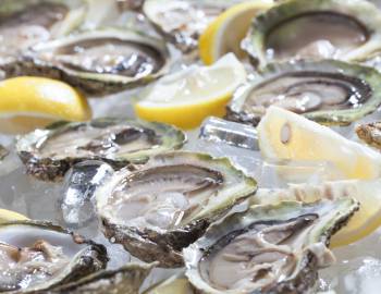 Oysters at a local seafood festival