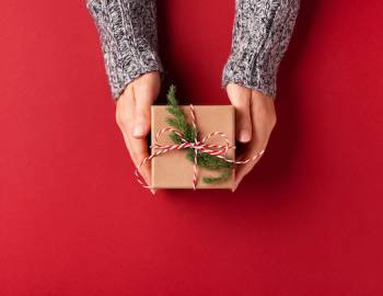 holiday gift holiday gift