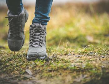 Hiking nature trail Hiking nature trail