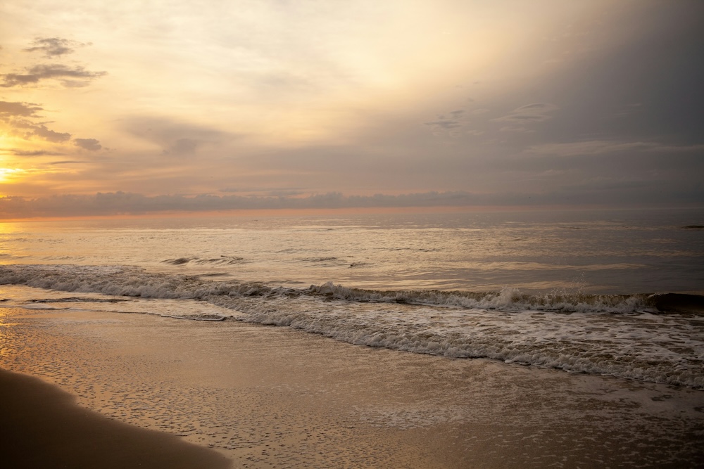 charleston beach at sunrise